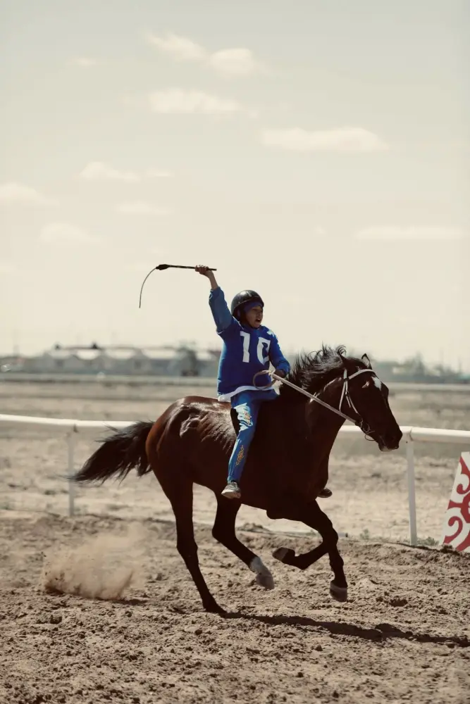 Чемпионат Казахстана по конным скачкам проходит в Кызылординской области (4)
