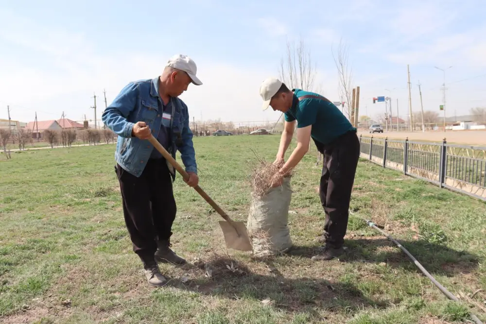 «Таза Қазақстан»: в рамках общеобластного субботника в Жетісу посадили свыше 8 тысяч деревьев (10)