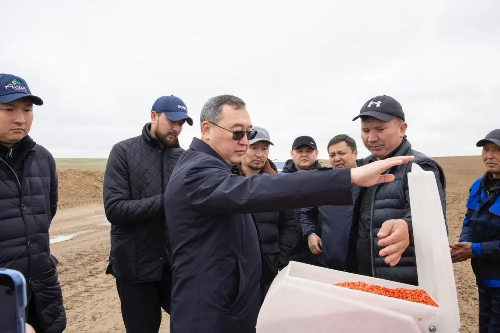 Фермеры Жамбылского района увеличивают посевные площади, преобразуя пастбища в сельскохозяйственные угодья Астане