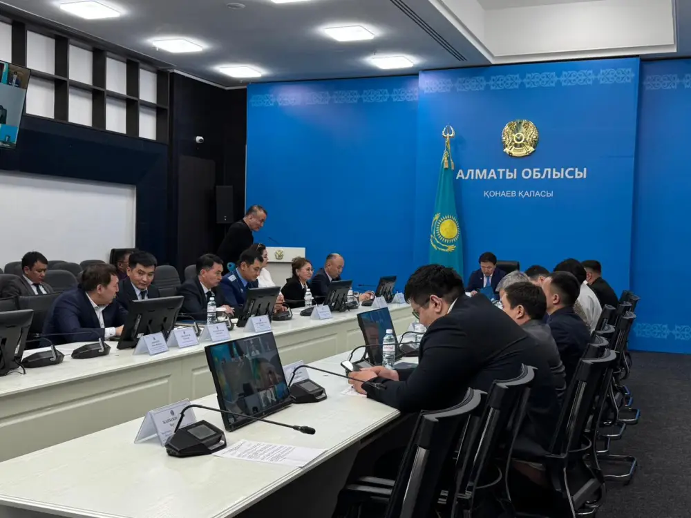 Заседание по вопросам социальной защиты инвалидов адаптация инфраструктуры инклюзивное образование доступность культурных мероприятий Астане