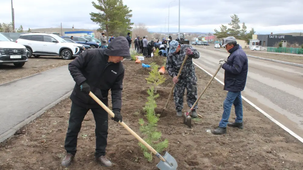 В Каркаралинске высадили 100 сосен в честь 80-летия Токтара Аубакирова, объединяя молодежь и ветеранов в заботе о природе. Астане