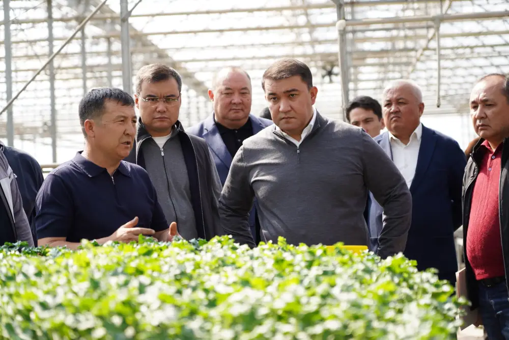 В ТУРКЕСТАНСКОЙ ОБЛАСТИ ВНЕДРЯЮТСЯ ЭКОЛОГИЧЕСКИ ЭФФЕКТИВНЫЕ СПОСОБЫ ОТОПЛЕНИЯ ТЕПЛИЦ (2)