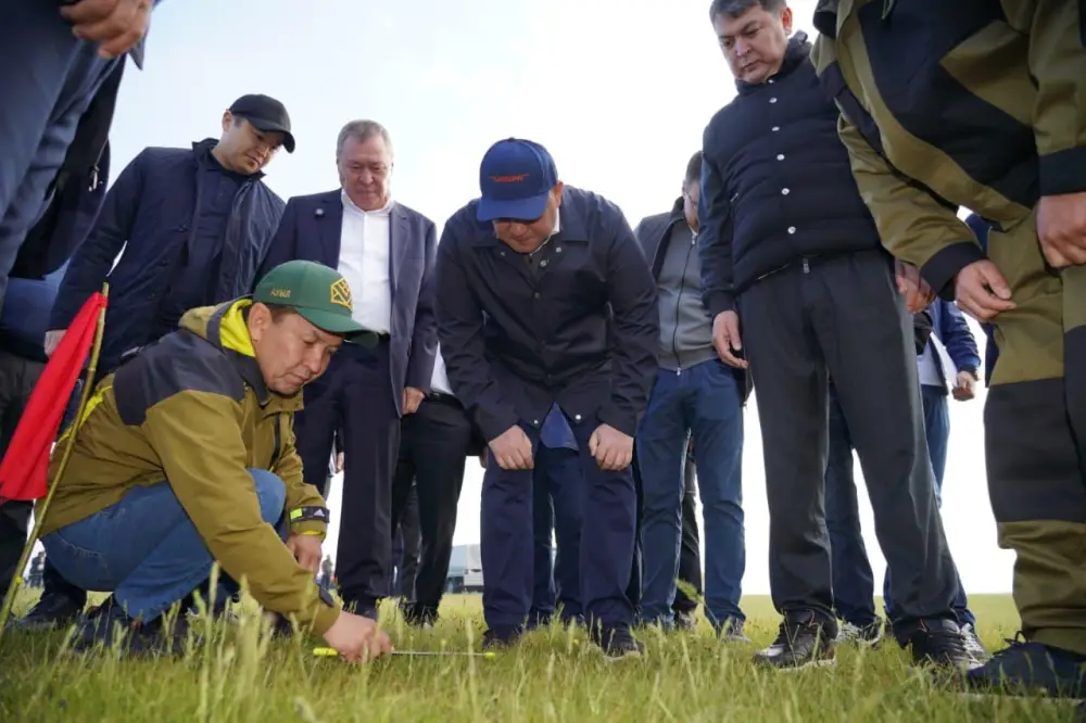 Казахстан снижает объем химических обработок против саранчовых до 2,2 млн га в 2026 году Астане