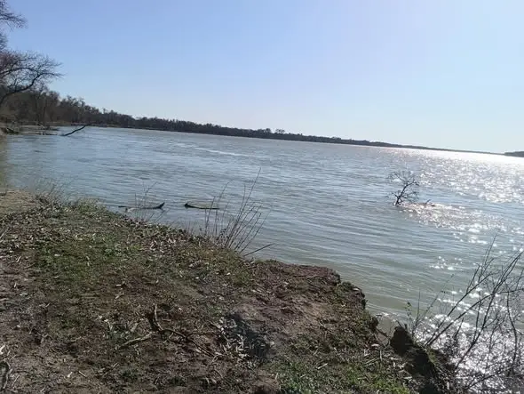 В ТУРКЕСТАНСКОЙ ОБЛАСТИ УСИЛЕН НАУЧНЫЙ МОНИТОРИНГ ПО БОРЬБЕ С КОМАРАМИ (4)