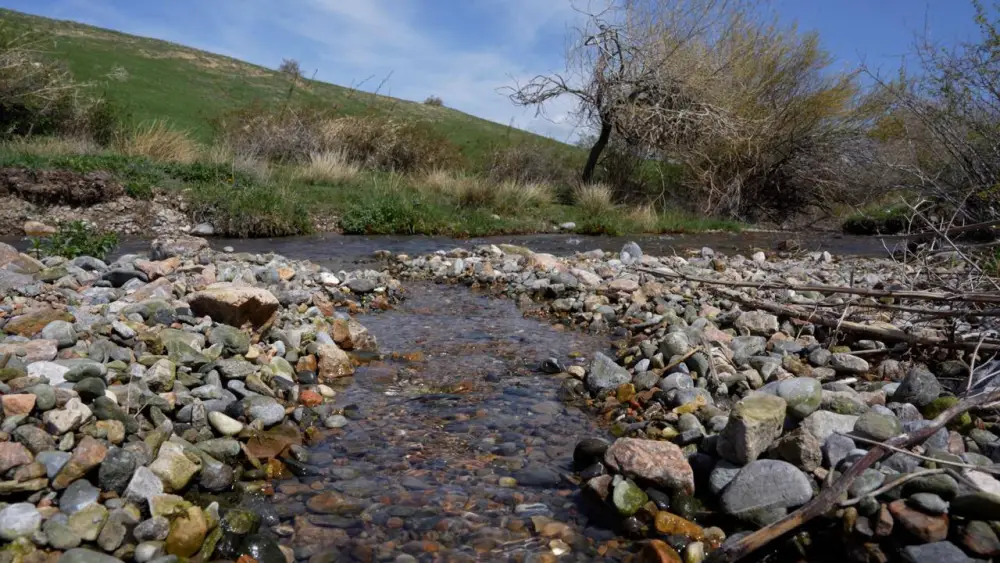 Аксакалы села Алатау организовали и провели очистку родника с участием местной молодежи в рамках экологической акции «Мөлдір бұлақ» (4)