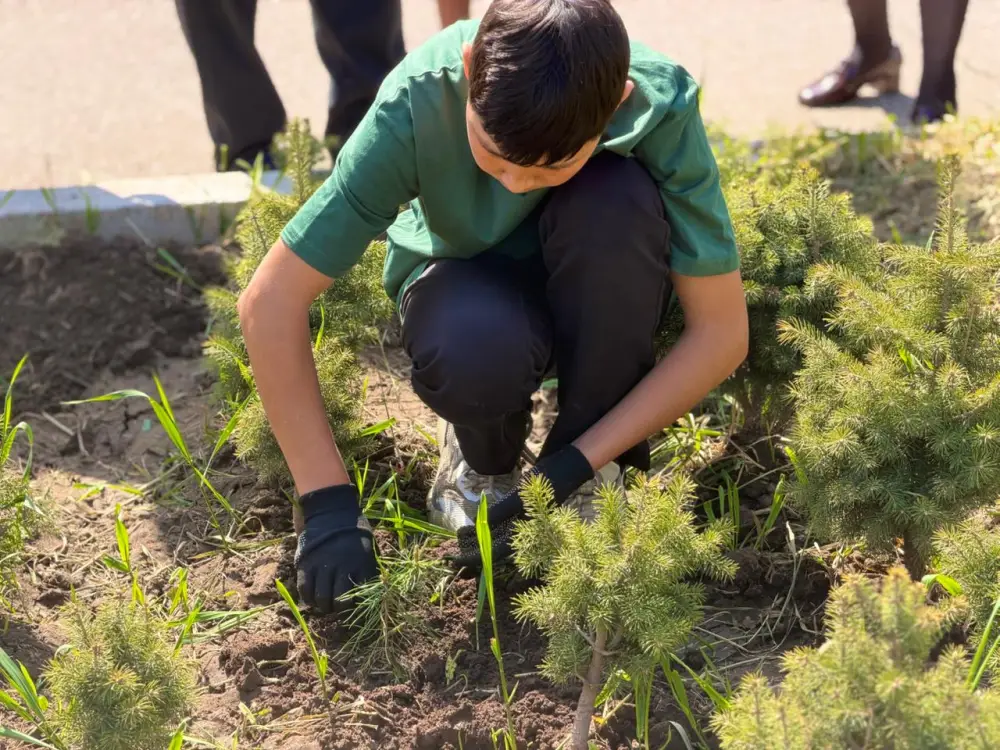 ЭКОЛОГИЧЕСКАЯ АКЦИЯ «ОДНО ДЕРЕВО – ВКЛАД В БУДУЩЕЕ» (2)