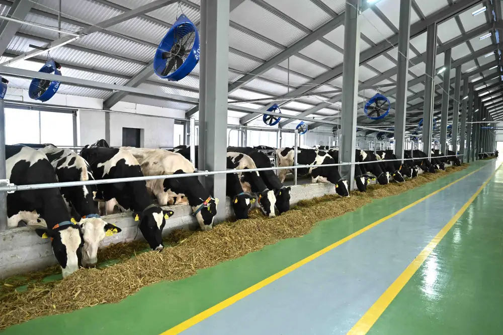 В ТУРКЕСТАНСКОЙ ОБЛАСТИ ЗАКУПЛЕНО 223 ЕДИНИЦЫ НОВОЙ СЕЛЬХОЗТЕХНИКИ (5)