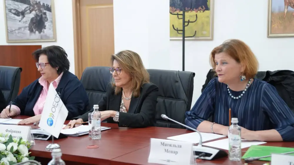 Министр экологии Казахстана Е.Н. Нысанбаев и Заместитель Генерального секретаря ОЭСР Ф. Лапекорелла обсудили климатическую политику и устойчивое развитие Астане