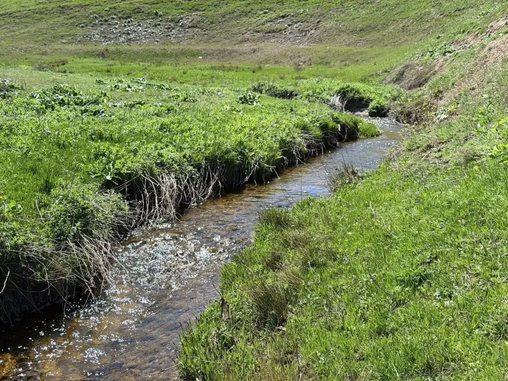 В Жамбылской области продолжается акция «Мөлдір бұлақ» (9)