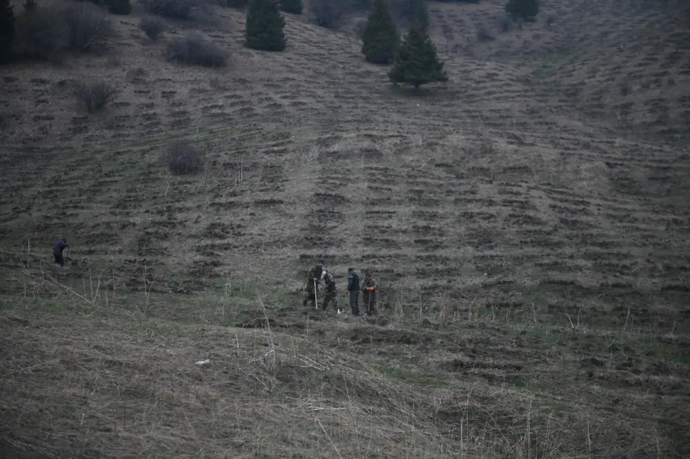 Лесной фонд в Алматинской области расширяется (2)
