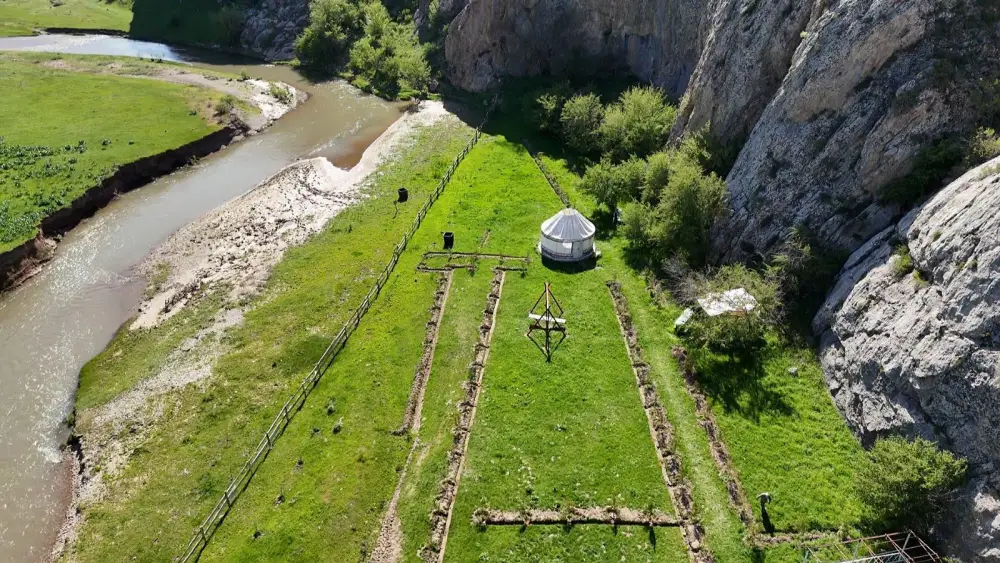В ТУРКЕСТАНСКОЙ ОБЛАСТИ ПРОШЛА ЭКОЛОГИЧЕСКАЯ АКЦИЯ ПО ЗАЩИТЕ ТЮЛЬПАНОВ (3)