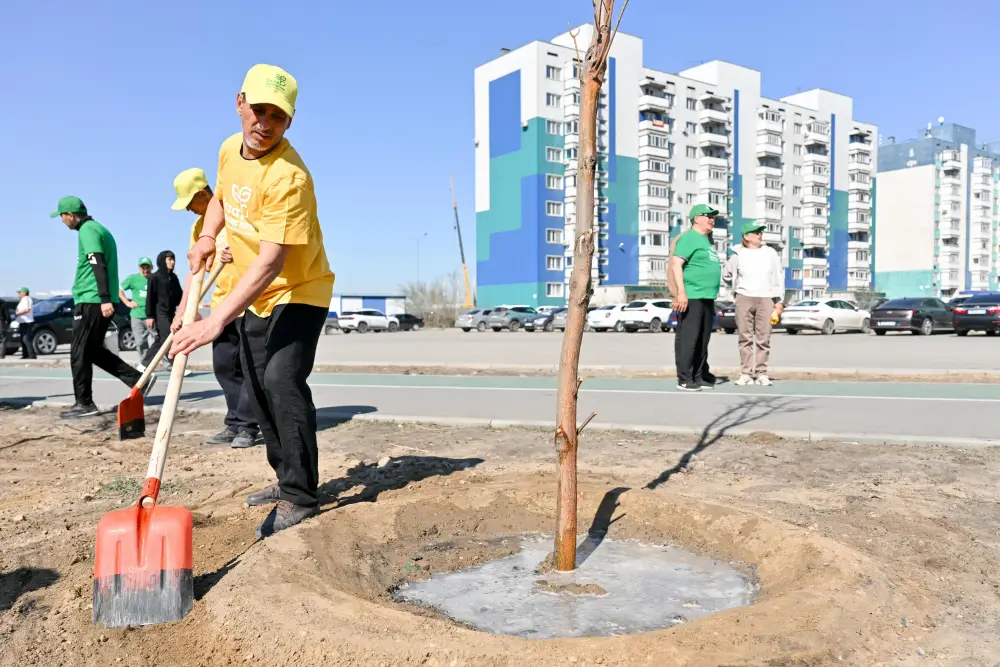 Аким области принял участие в акции по посадке деревьев в Семее (7)