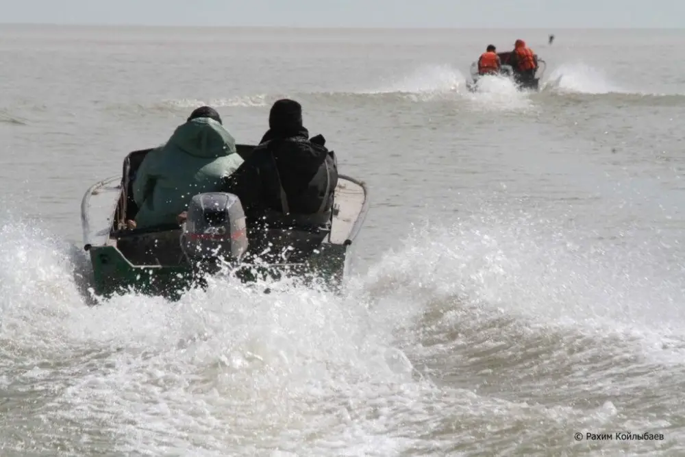 В Казахстане стартовала акция по охране рыбы «Бекіре-2026» Астане