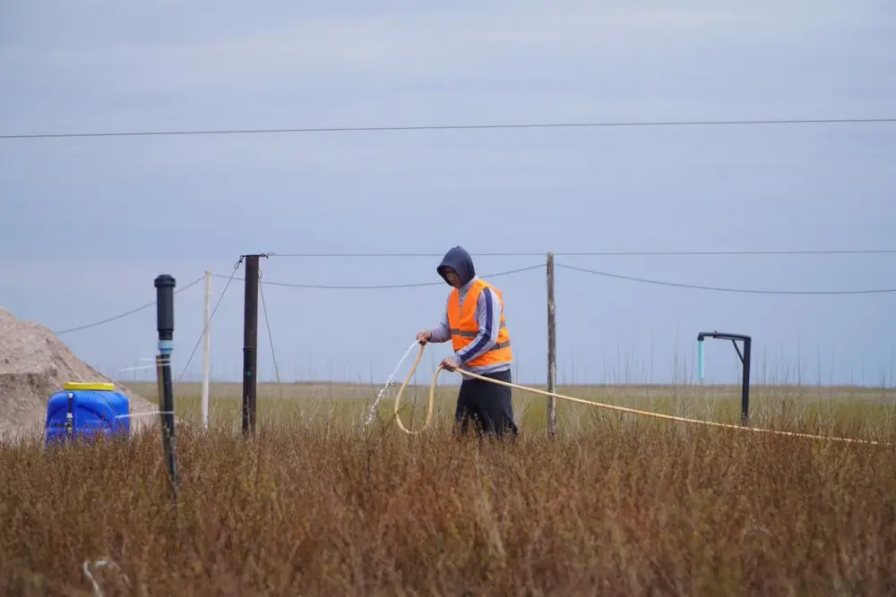 Аким Акмолинской области акцентирует внимание на важности лесовосстановления и международном сотрудничестве в сфере озеленения. Астане