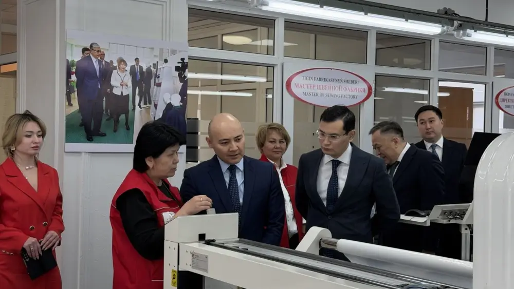 В Улытауской области обсудили привлечение инвестиций и развитие промышленности (3)