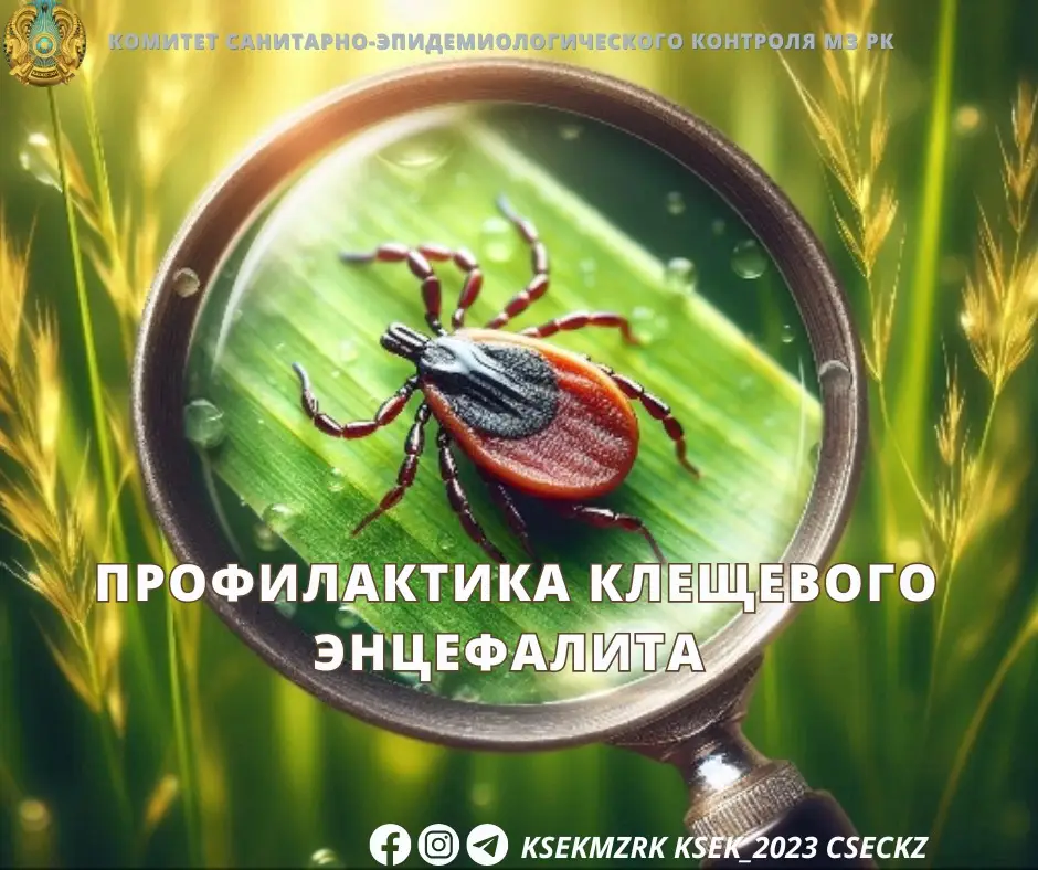 Увеличение случаев клещевого энцефалита: важность профилактики и вакцинации Астане