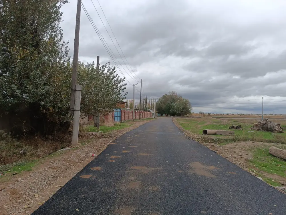 «Ауыл – Ел бесігі»: в Жамбылской области реализовано 1 073 проекта (8)