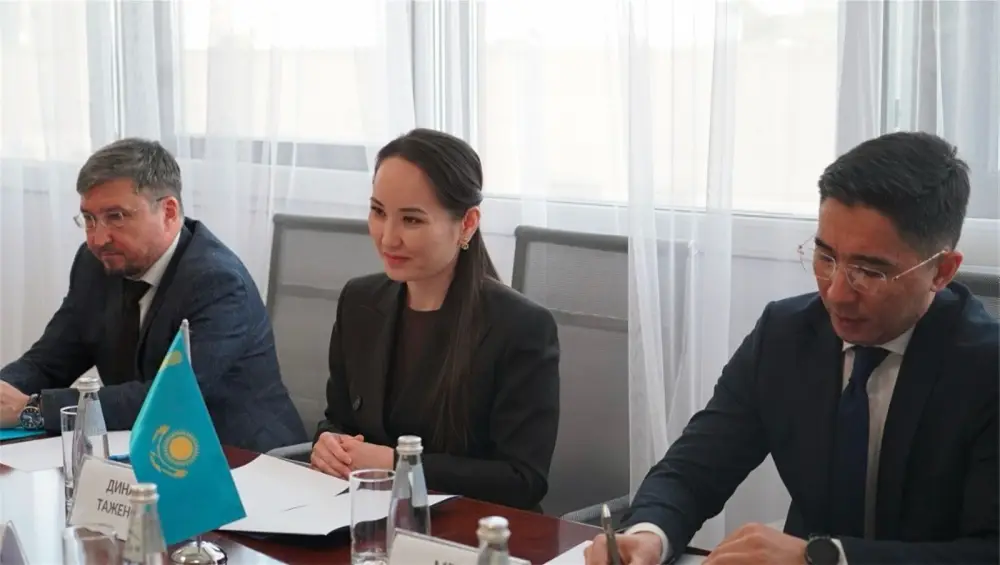 Руководитель правозащитного центра и представитель Совета Европы обсудили перспективы взаимодействия (4)