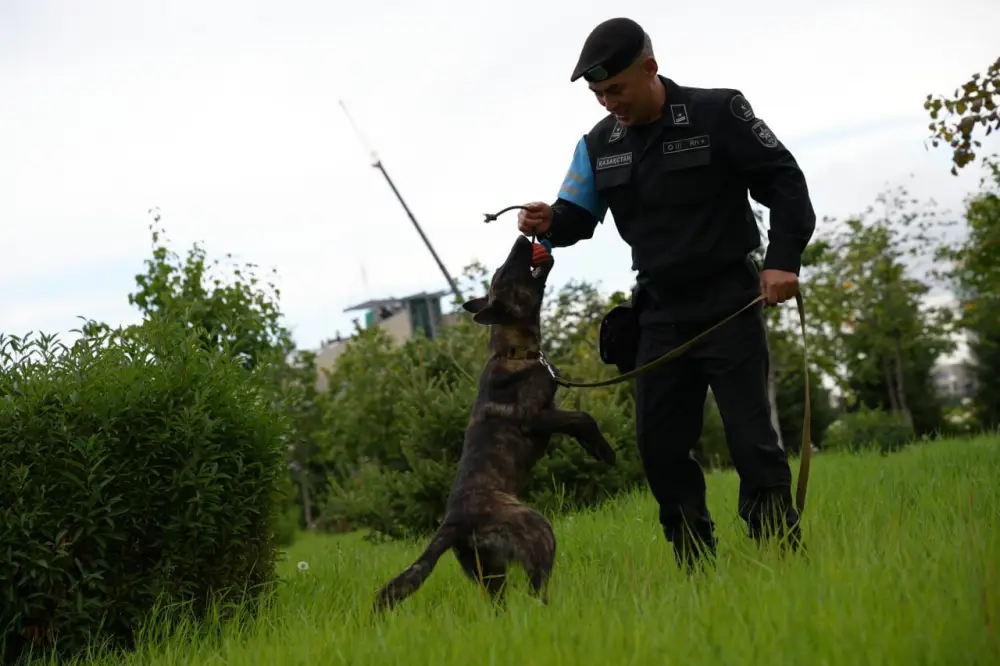 Сегодня – профессиональный праздник военнослужащих военной полиции (6)