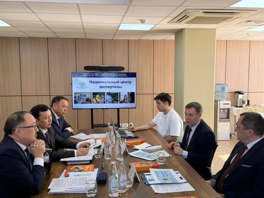 Казахстан и ЕАЭС обсуждают защиту границ и соблюдение техрегламентов Астане