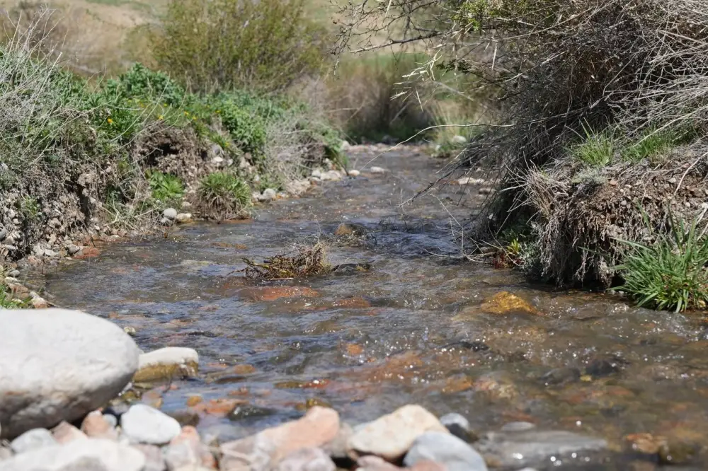 Аксакалы села Алатау организовали и провели очистку родника с участием местной молодежи в рамках экологической акции «Мөлдір бұлақ» (7)