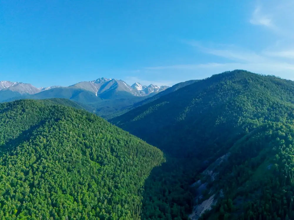 Новые проекты по транспорту в ВКО для туристов Астане