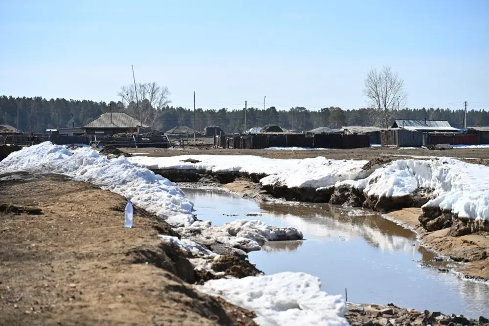 Аким области проверил ситуацию в Бозтале Астане