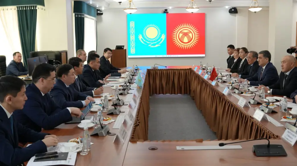 Казахстан и Кыргызстан укрепляют сотрудничество в социально-трудовой сфере и обмениваются цифровым опытом (5)