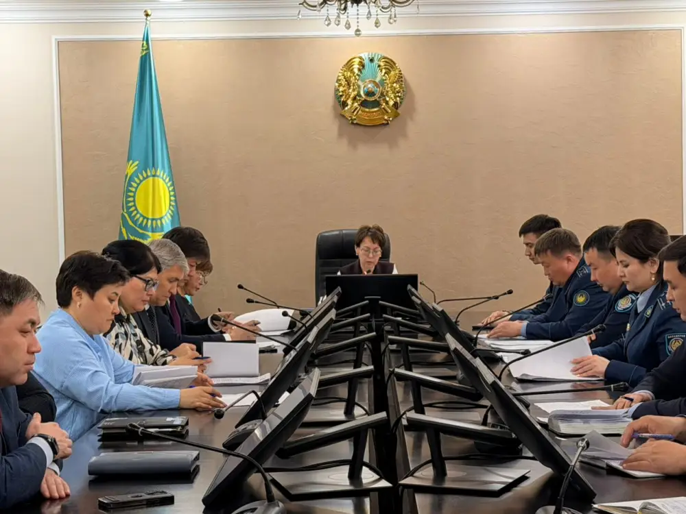 Щит от правонарушений: как защитить уязвимых? Астане