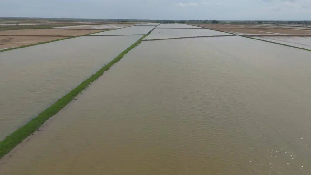 400 млн кубометров воды было подано для промывки почвы в Туркестанской области (2)