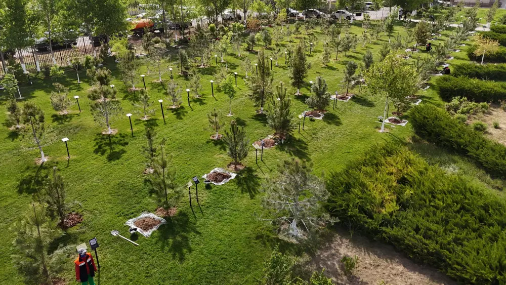 В ТУРКЕСТАНЕ ОТКРЫЛАСЬ АЛЛЕЯ «ТАЗА ҚАЗАҚСТАН» (10)