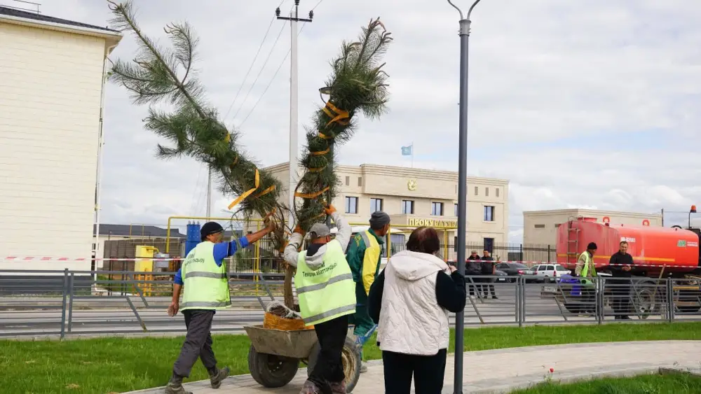 В Ордабасынском районе прошла экологическая акция: более 300 участников высадили 1200 саженцев и вывезли 16 тонн мусора Астане