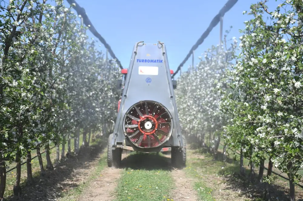 Яблоневые сады Алматинской области: от цветения к богатому урожаю (4)