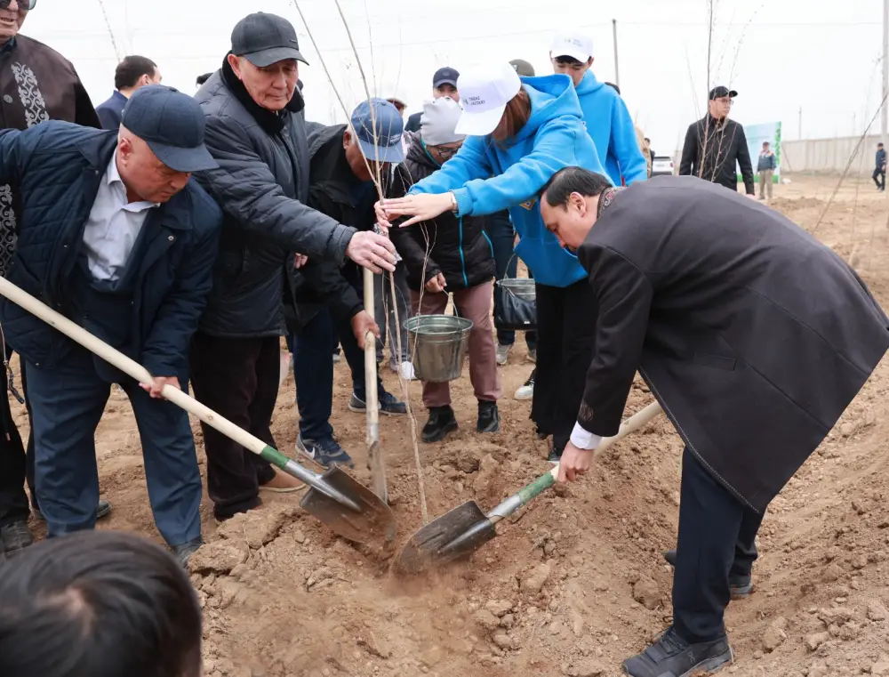 Таза Қазақстан: в Таразе высажено 10 тысяч деревьев (4)