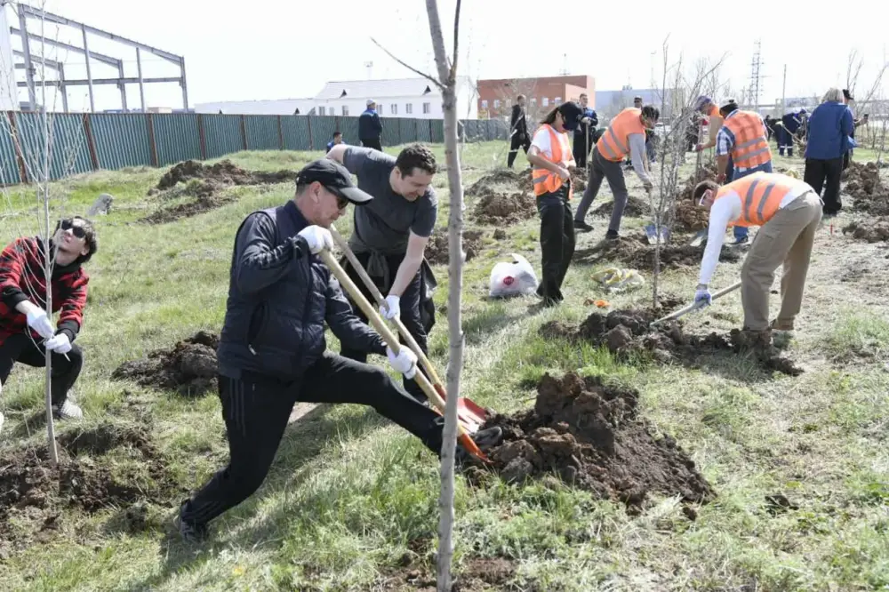 Представители столичного ресторанного и гостиничного бизнеса приняли участие в посадке деревьев в рамках «Таза Казақстан» (4)