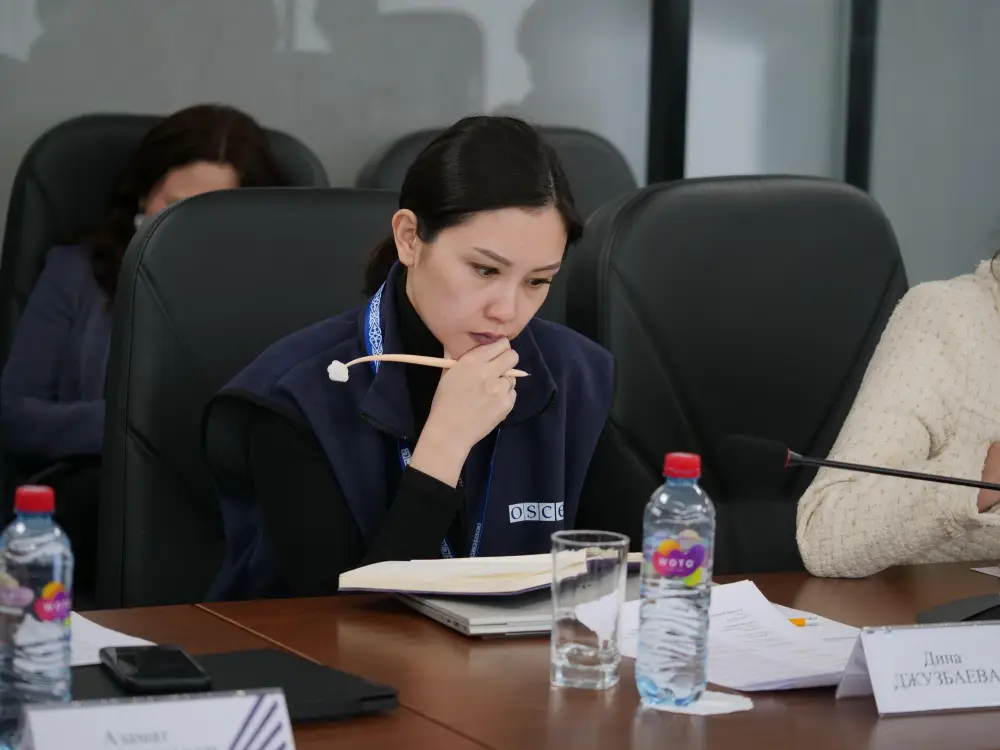 В Астане обсудили усиление мер по профилактике гендерного насилия (2)