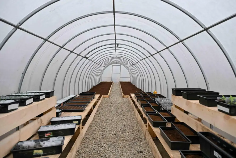 Представители фонда «Самрук-Казына» приняли участие в акции по посадке деревьев в Семее (10)