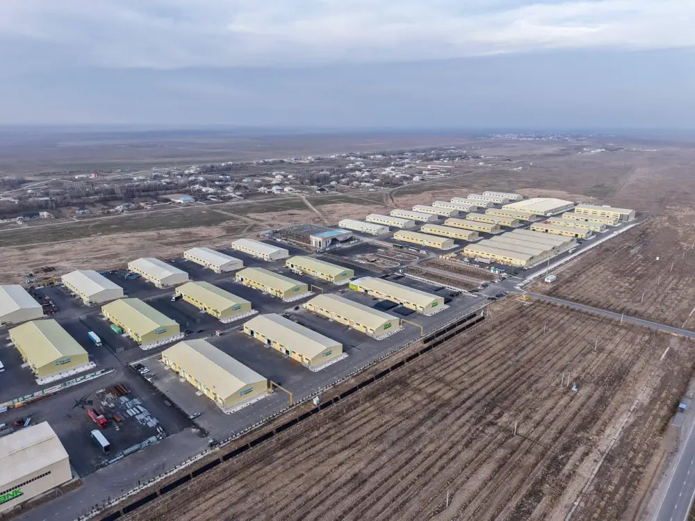 ОПЫТ СОЗДАНИЯ МАЛЫХ ИНДУСТРИАЛЬНЫХ ПАРКОВ ТУРКЕСТАНСКОЙ ОБЛАСТИ БУДЕТ ВНЕДРЕН В ДРУГИХ РЕГИОНАХ (2)