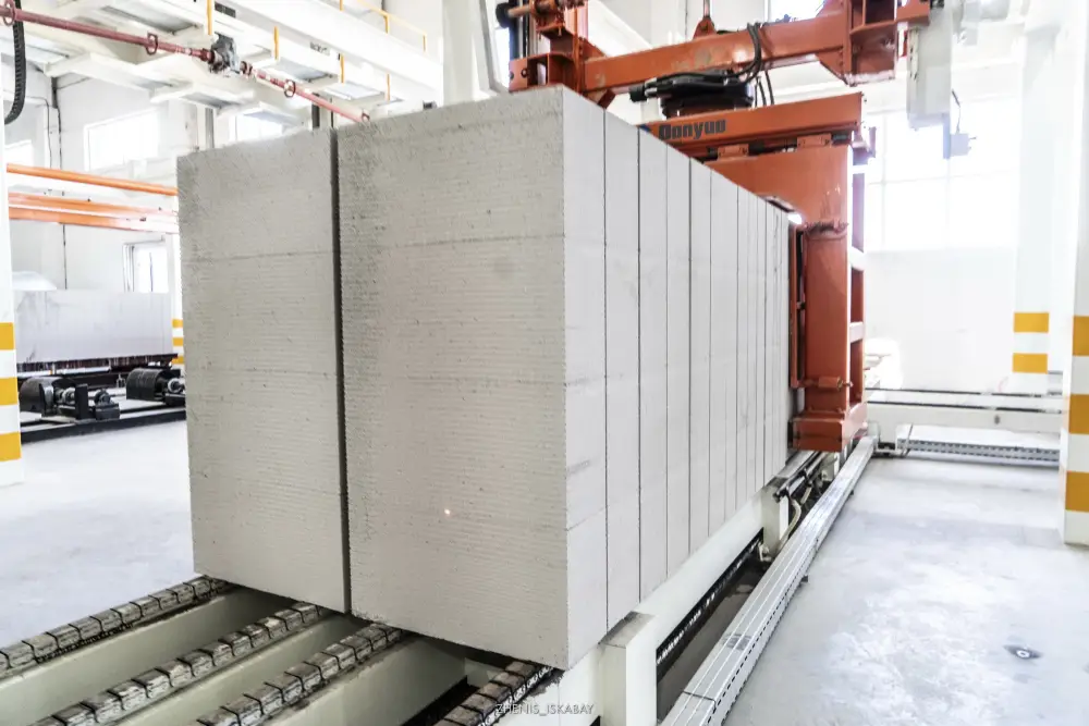 Промышленность Жетісу переходит на инновационные технологии (2)