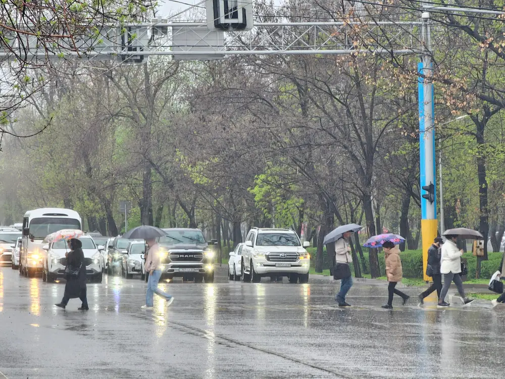 Коммунальные службы Алматы переведены в режим готовности к ливням (2)