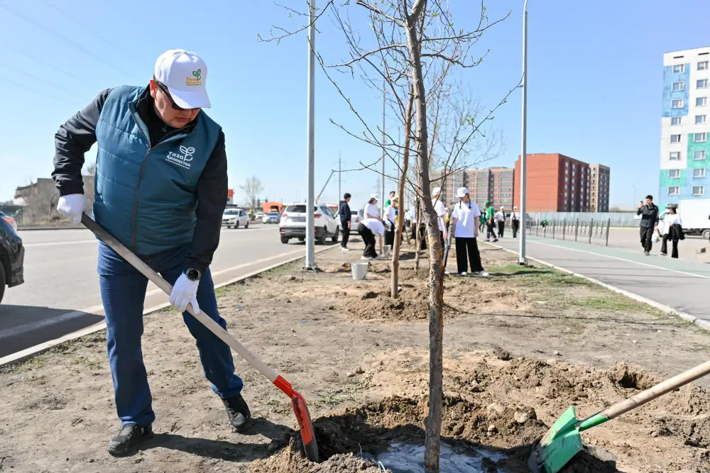 Аким области принял участие в акции по посадке деревьев в Семее (8)