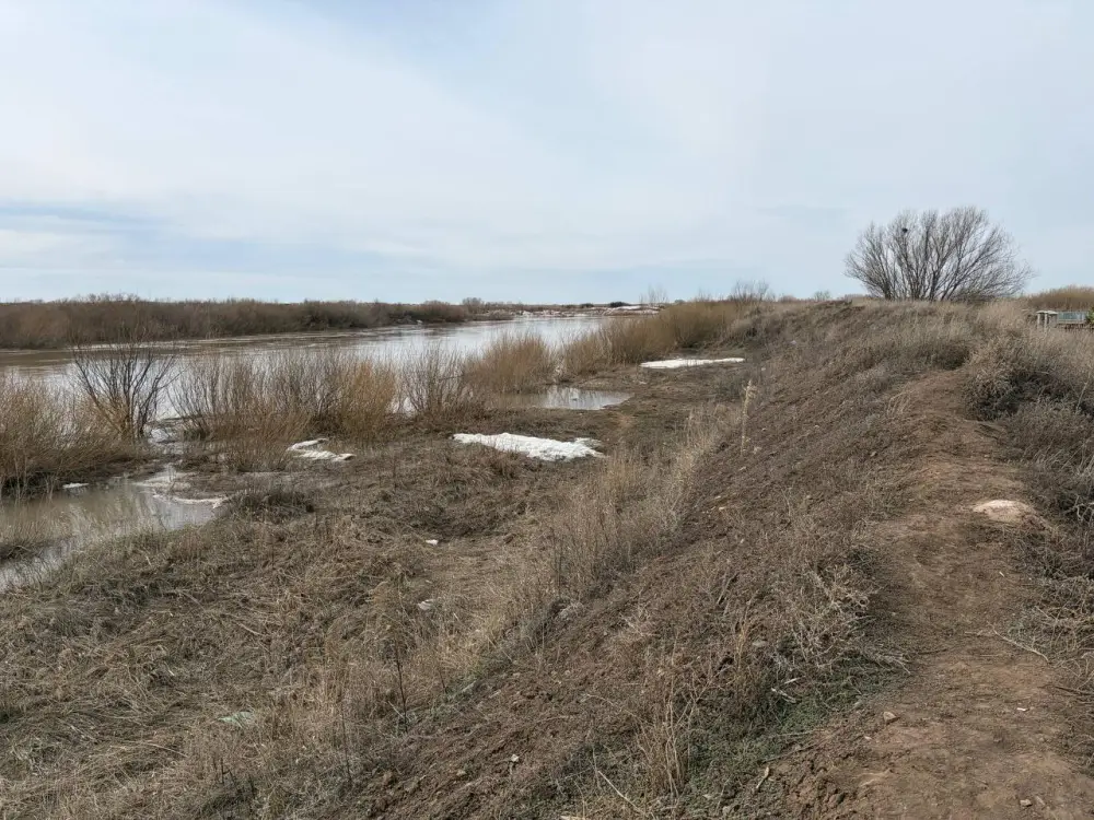 В селе Жибек жолы обеспечен безопасный пропуск паводковых вод (2)