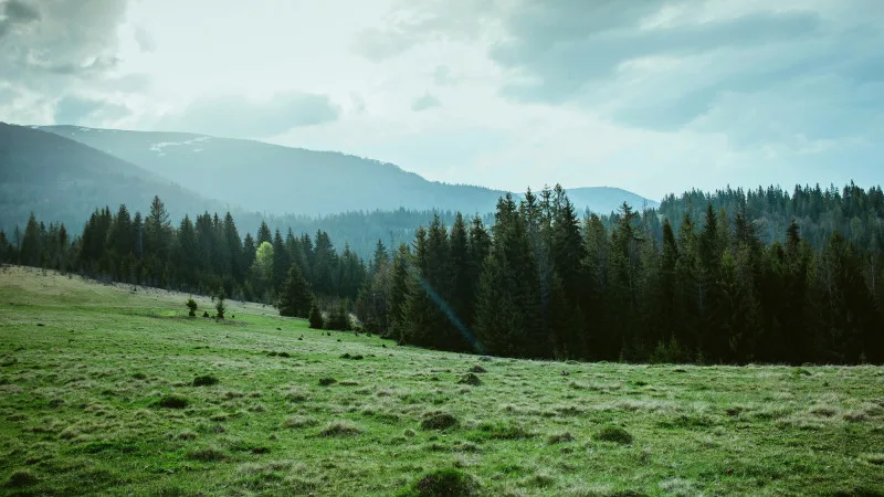 Астана готовится к резкому похолоданию, а Алматы столкнется с грозами: возможные последствия для жителей и инфраструктуры в период с 25 по 27 апреля Астане