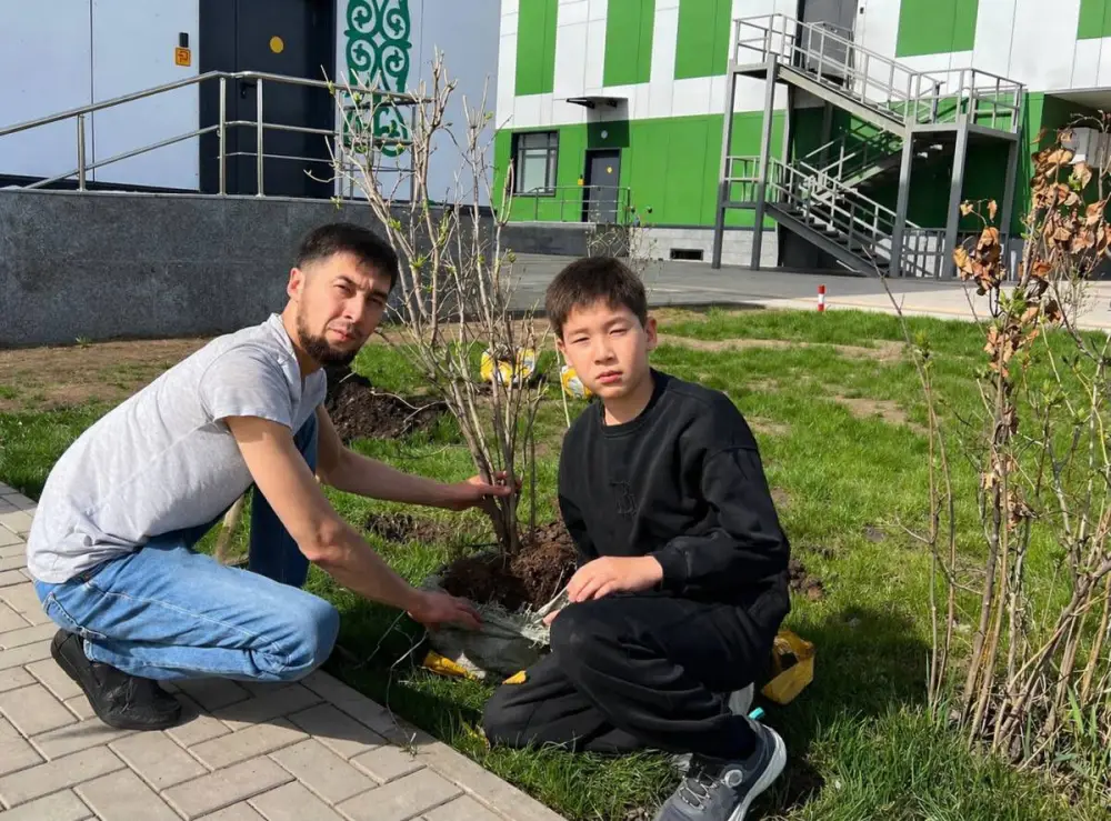 Озеленение школьного двора в Астане: вклад в экологическое сознание будущих поколений Астане
