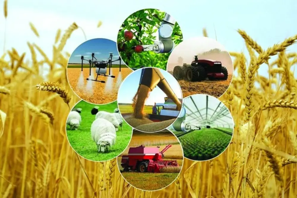 Атырауская область: более 100 проектов в рамках программы «Ауыл аманаты» для развития сельских инициатив Астане