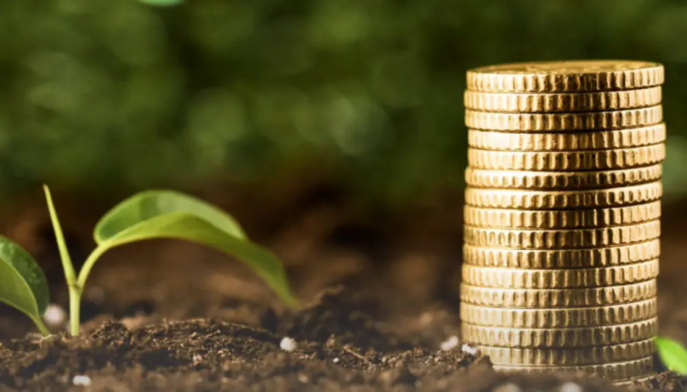 Фермеры начинают подавать заявки на субсидирование страховых премий в агросекторе Астане