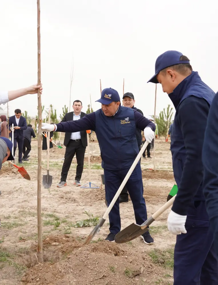 “ТАЗА ҚАЗАҚСТАН”: ВО ВРЕМЯ МАСШТАБНОЙ ЭКОАКЦИИ В ТУРКЕСТАНЕ ВЫСАДИЛИ БОЛЕЕ 2 ТЫСЯЧ ДЕРЕВЬЕВ (2)
