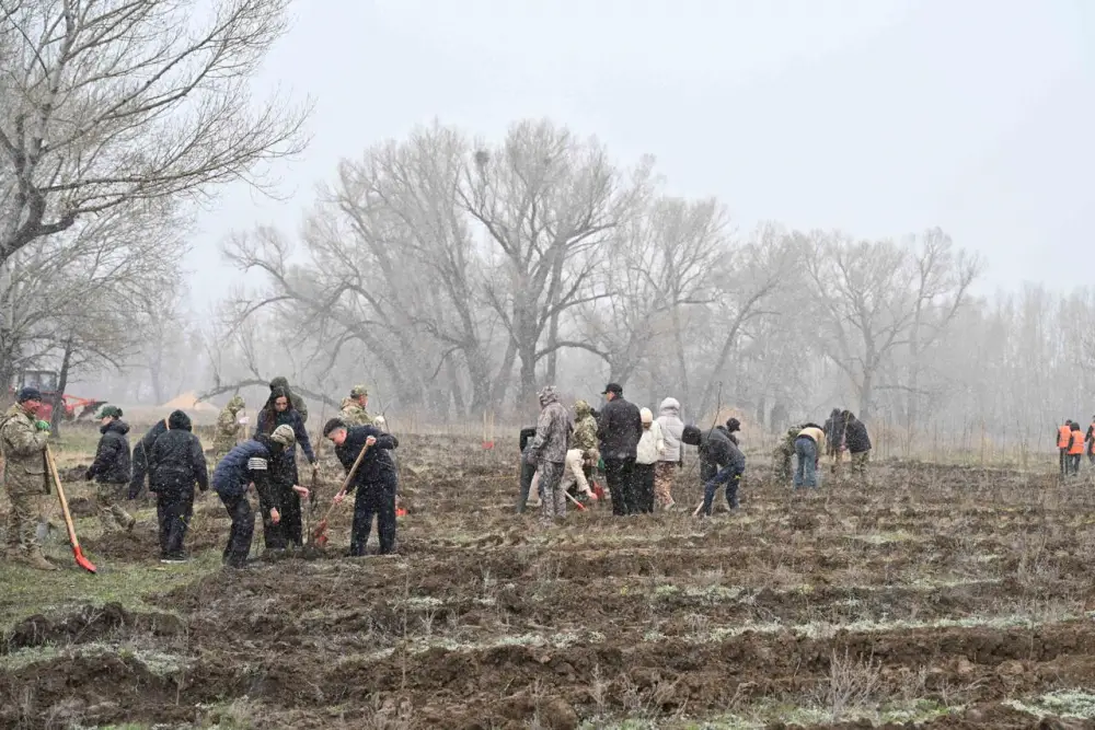 Представители фонда «Самрук-Казына» приняли участие в акции по посадке деревьев в Семее (6)