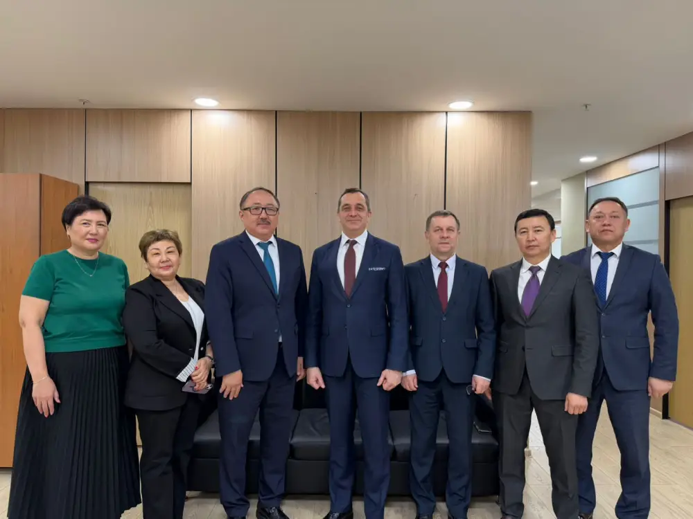 Казахстан и ЕЭК обсудили вопросы контроля за техрегламентами (3)