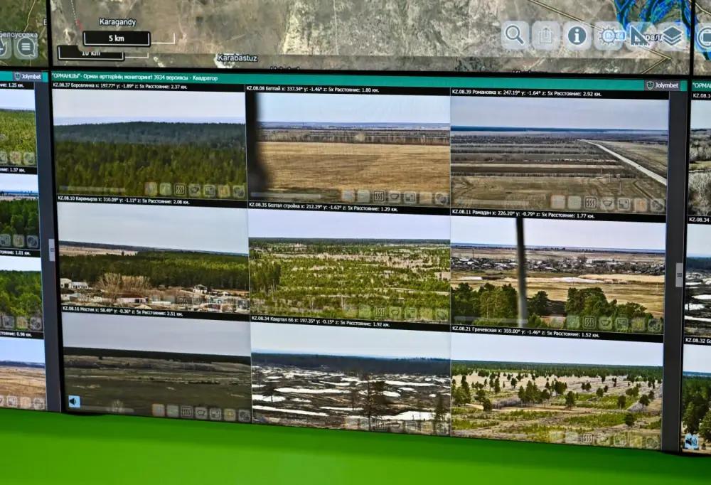 В области Абай проведены учения по тушению условного лесного пожара с применением современных технологий (5)